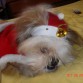 AQUI TRATANDO DE  DORMIR 